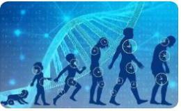 科技带来的弊端英语作文素材与写作指导